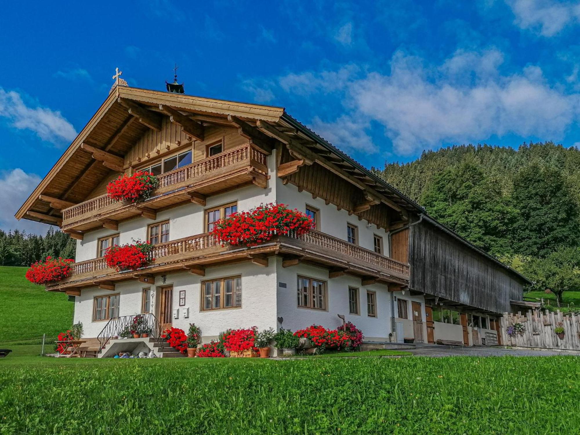 Flicklhof Xl Apartment Hopfgarten im Brixental Bagian luar foto
