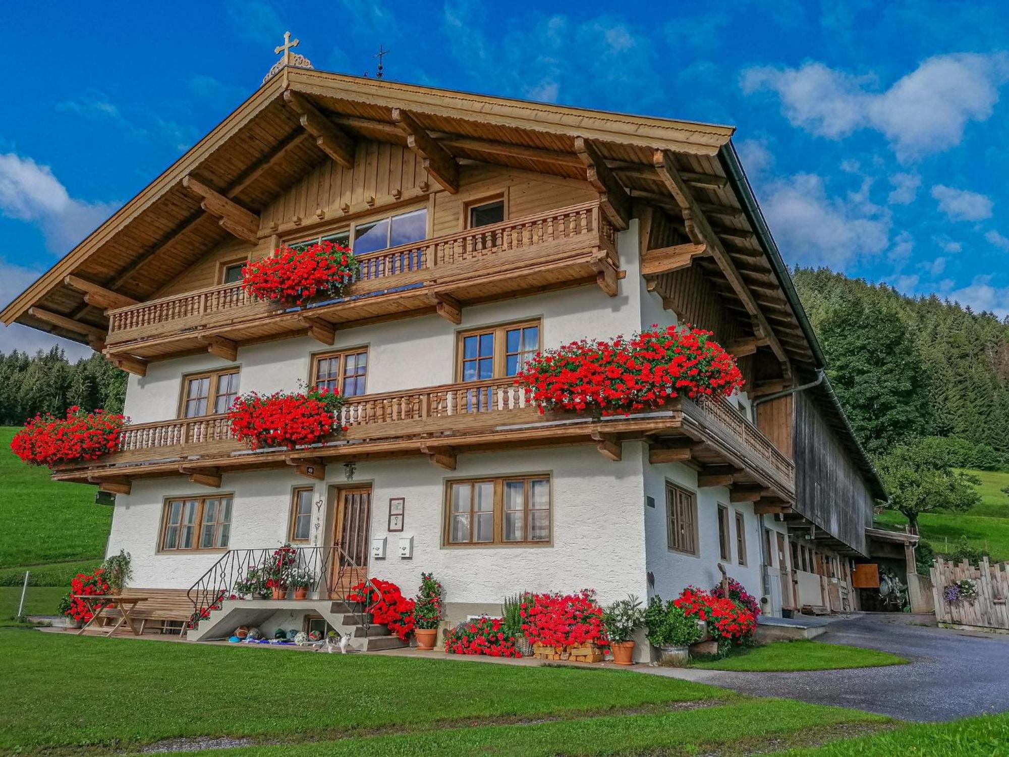 Flicklhof Xl Apartment Hopfgarten im Brixental Bagian luar foto